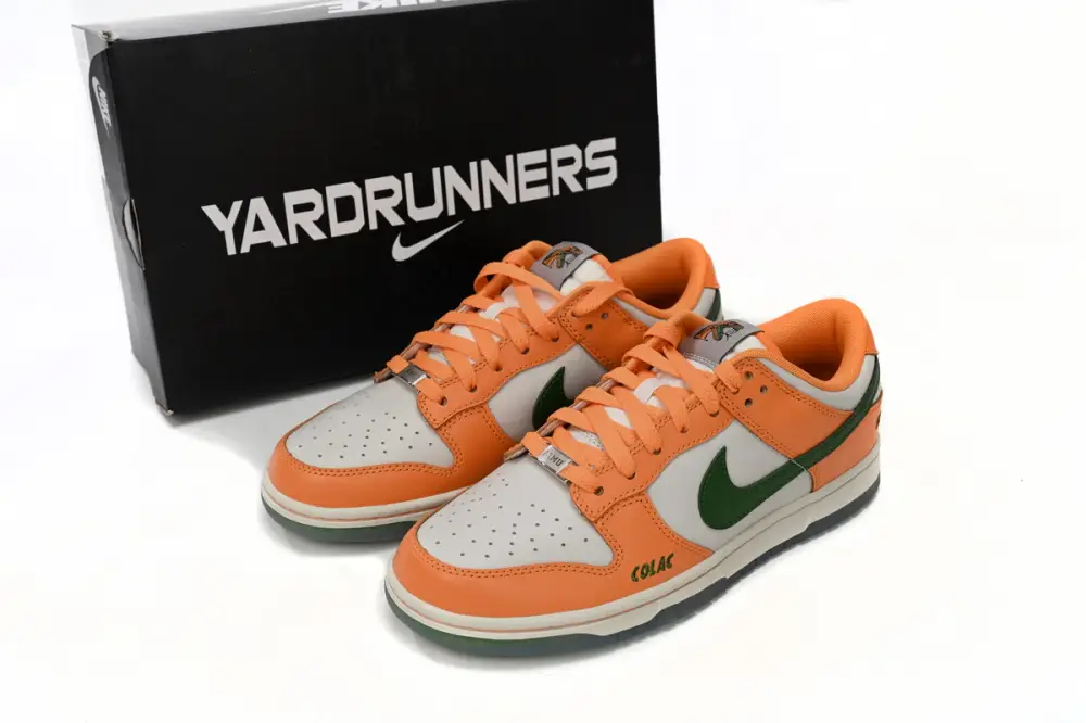 Nike Dunk Low Florida A&M University DR6188-800 