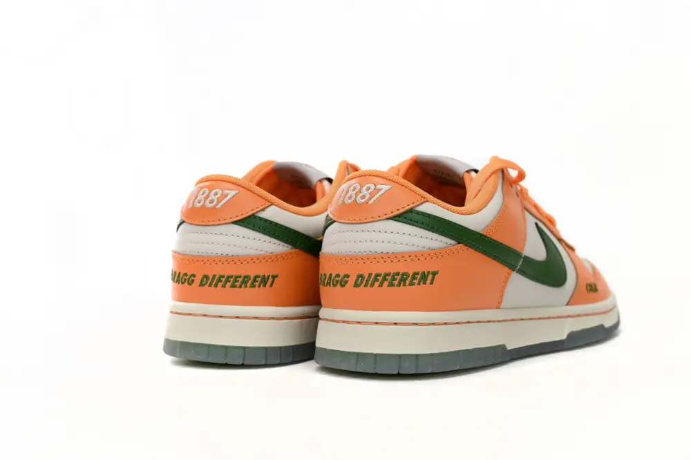 Nike Dunk Low Florida A&M University DR6188-800 