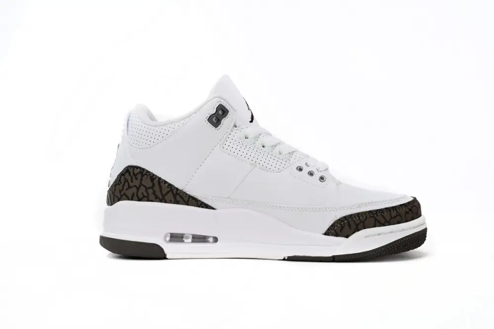 Air jordan 3 Jordan 3 “Mocha” 136064-122