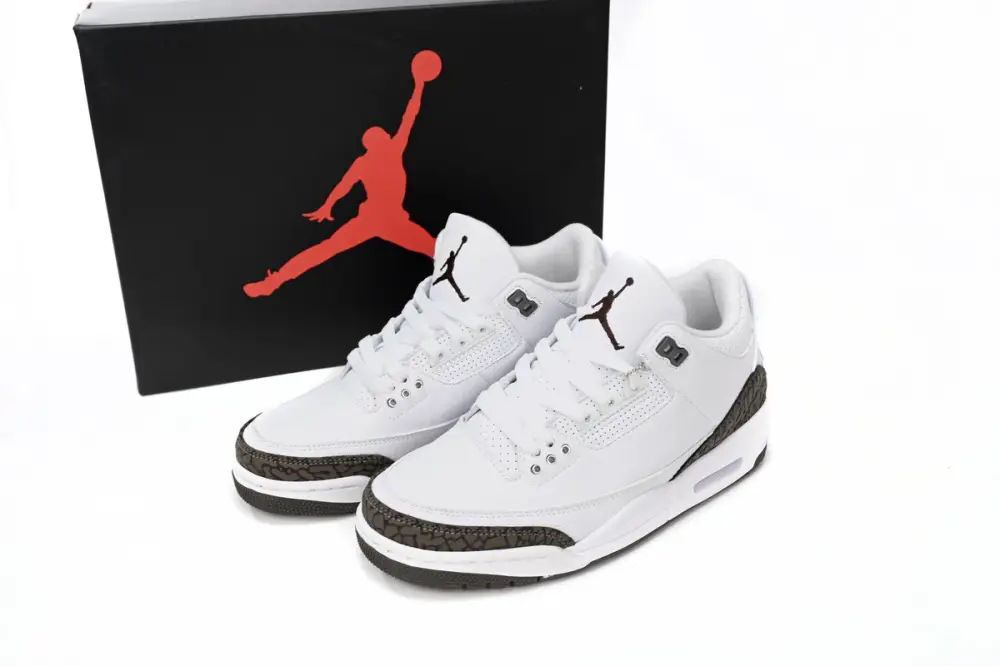 Air jordan 3 Jordan 3 “Mocha” 136064-122