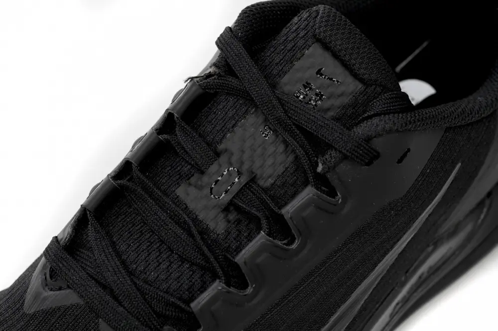 Nike Air Winflo 9 Black DD6203-002 