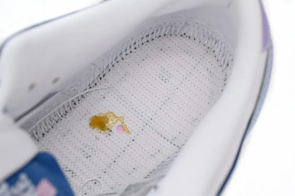 Born Born dunk sb reps x Raised x Nike SB Dunk Low Blue White FN7819-400