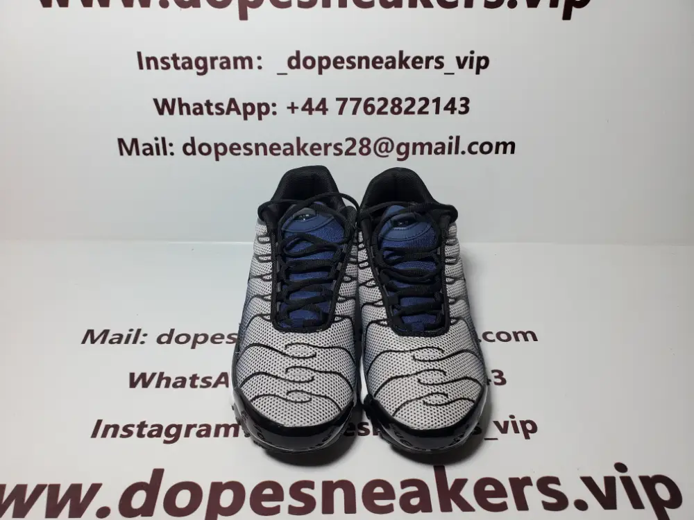 Nike Air Max Plus Midnight Navy(Nike Tn) 