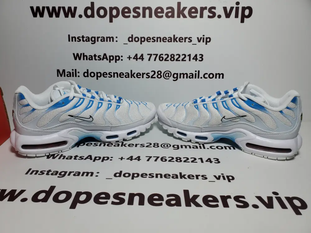 Nike Nike Tn Air Max Tn White And Blue Sky