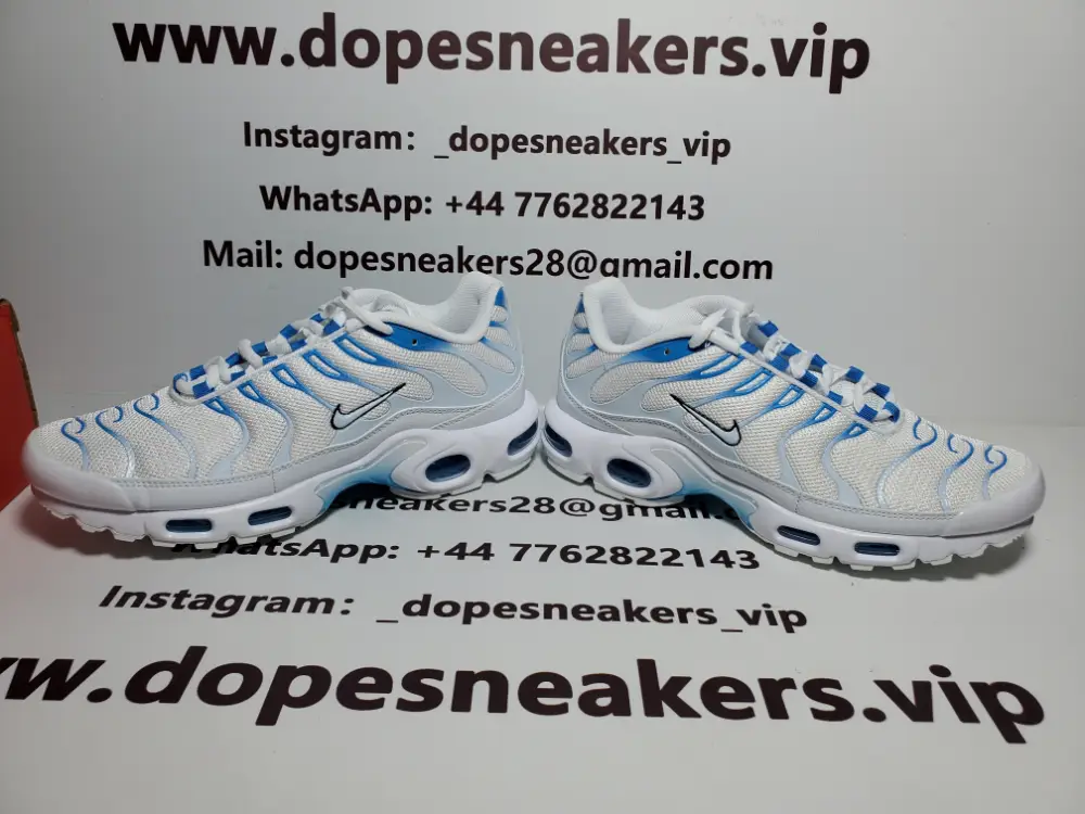 Nike Nike Tn Air Max Tn White And Blue Sky