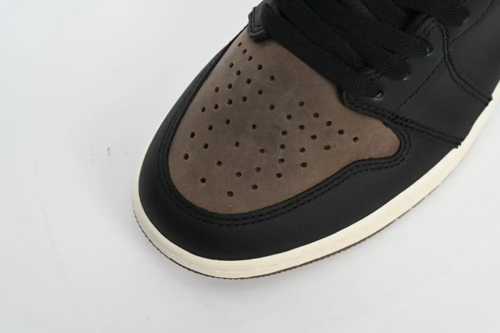 Air Jordan 1 High Palomino Reps Jordan 1 Retro High OG Palomino DZ5485-020