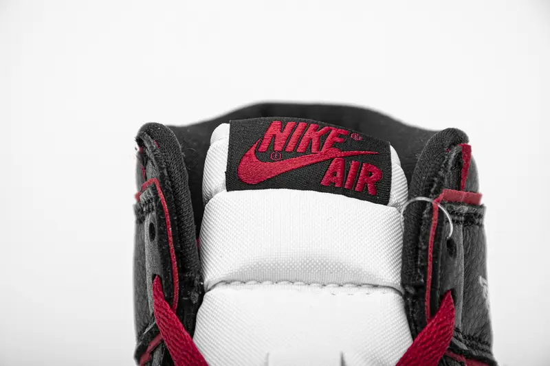 Air Jordan 1 Retro High Bloodline 555088-062 