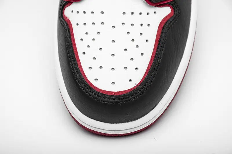 Air Jordan 1 Retro High Bloodline 555088-062 
