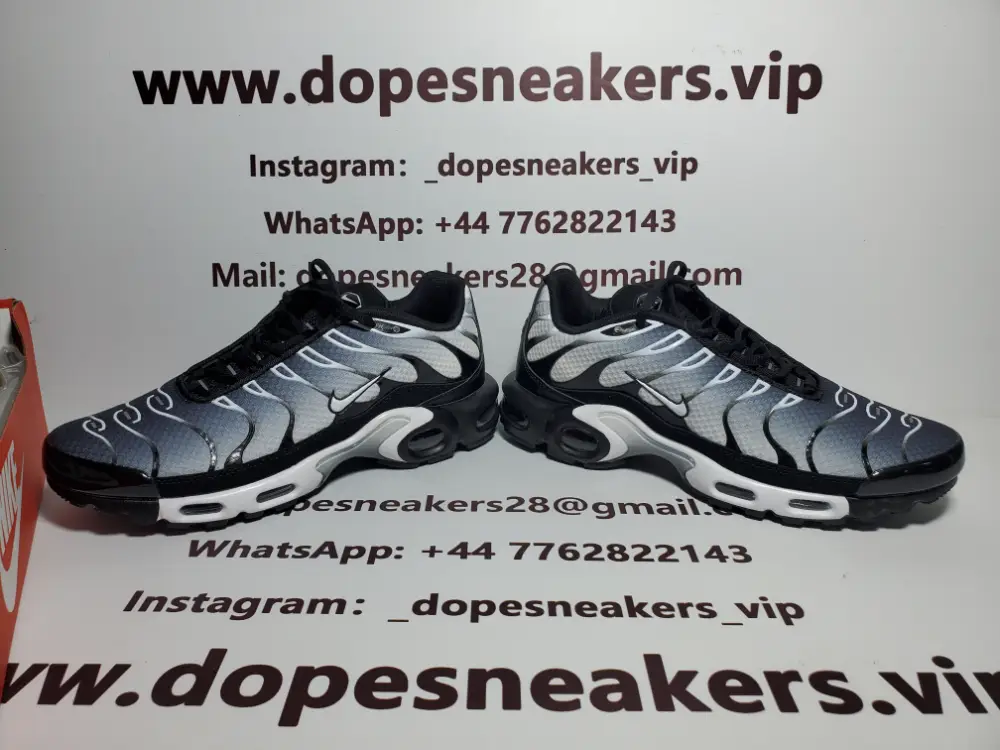 Nike Nike Tn Air Max Plus Black Metallic Silver