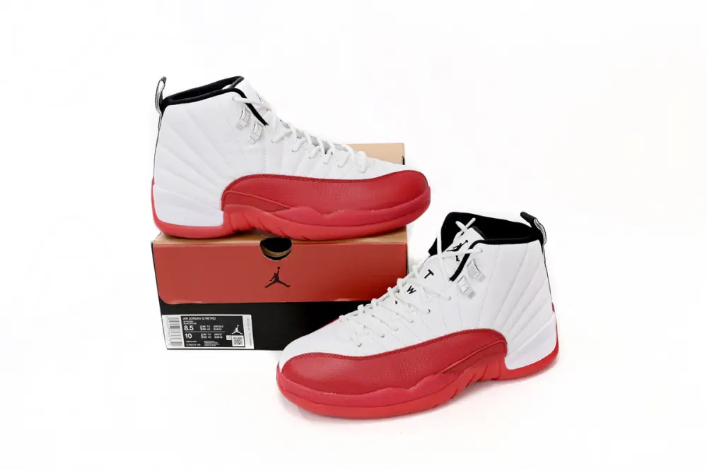 Air Jordan 12 Retro Cherry CT8013-116 
