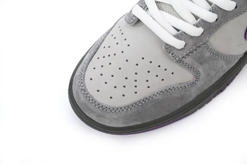 Nike SB Dunk Low Purple Pigeon 304292-051 