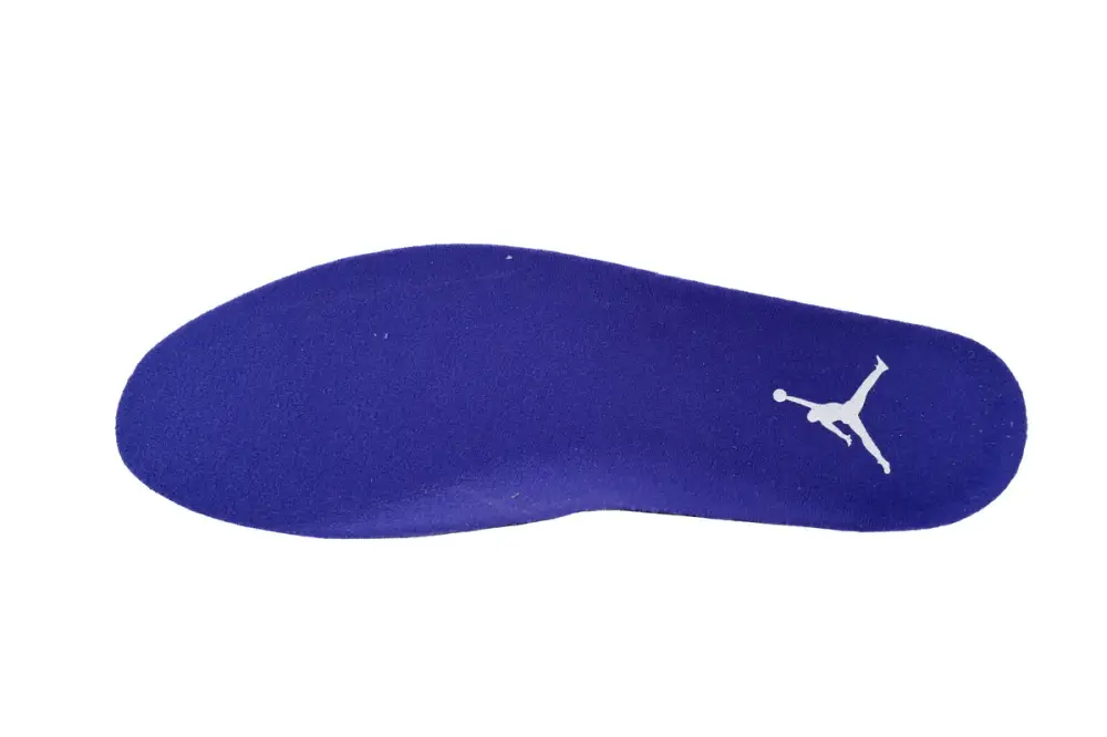 Air Jordan 5 “Concord”  DD0587-141 