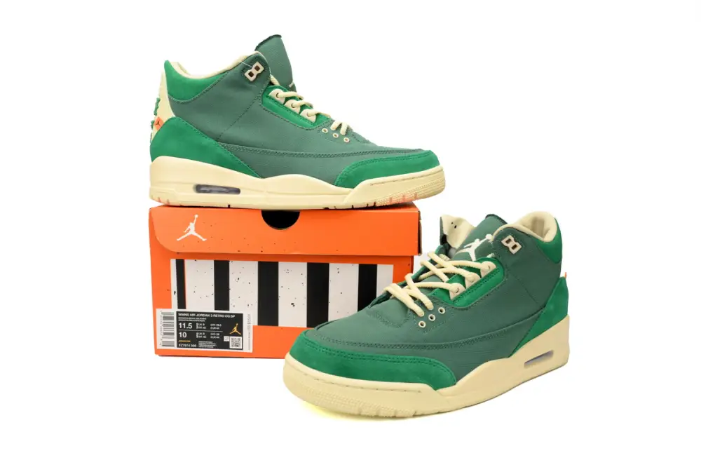 Air Jordan 3 Retro SP Nina Abney Bicoastal FZ7974-300 