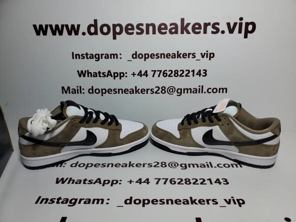 Nike SB Dunk Low Trail White Brown 304292-102 