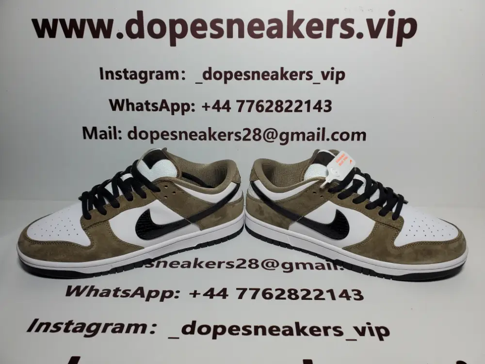 Nike SB Dunk Low Trail White Brown 304292-102 