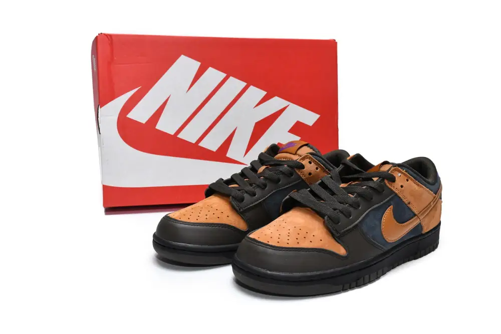 Nike Dunk Low CiDer DH0601-001 